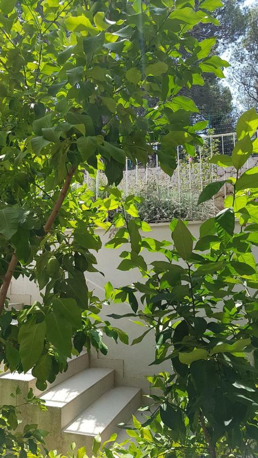 Apartman Di Mali Lošinj Kültér fotó